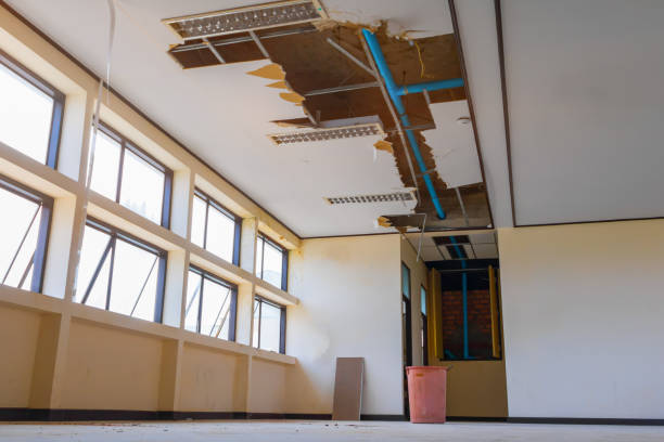 Best Water damage contractors near me  in South Apopka, FL