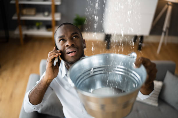 Best Basement water damage restoration  in South Apopka, FL