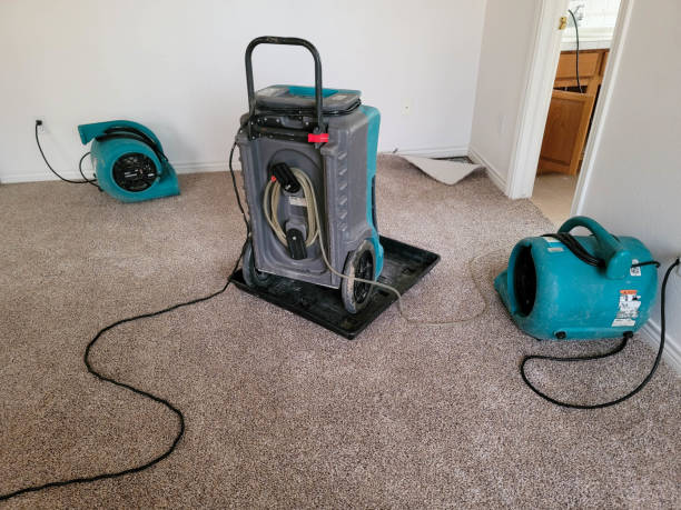 Best Carpet water damage restoration  in South Apopka, FL