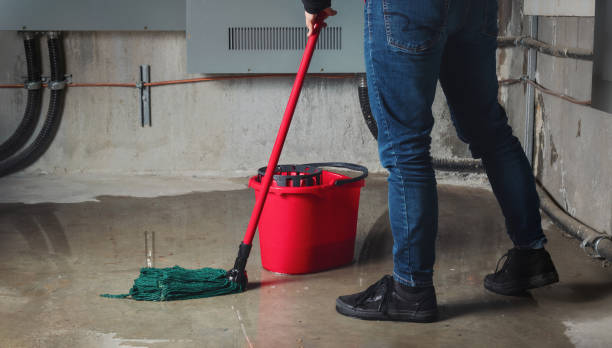 Best Flood restoration services  in South Apopka, FL