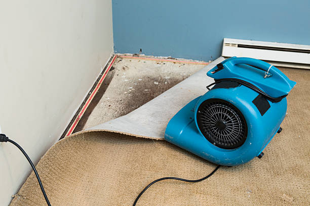 24/7 water damage repair in FL